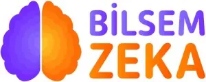 Bilsem nedir&nbsp;sorusu, özellikle ilkokul çağındaki çocukların aileleri tarafından sıkça araştırılıyor.